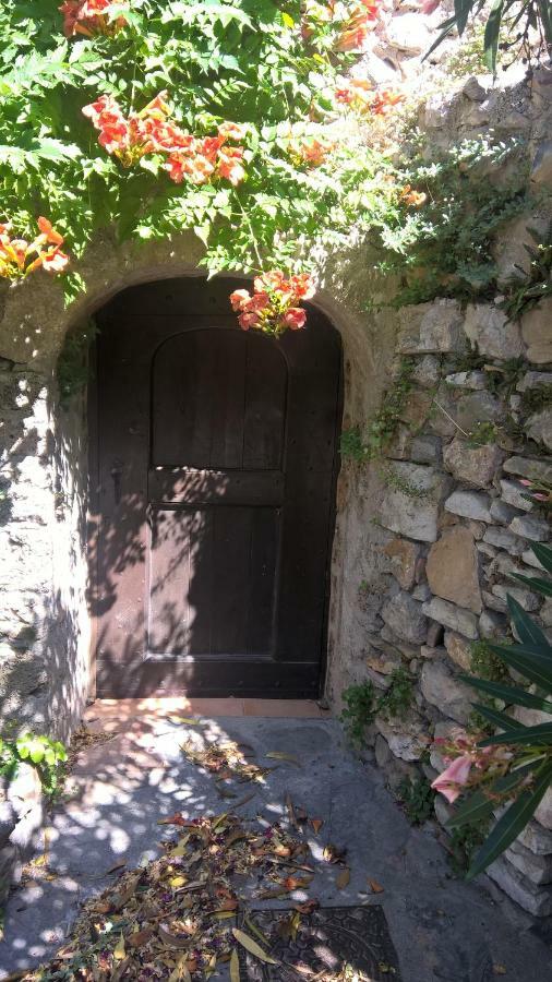 Les Studios De St Guilhem Saint-Guilhem-le-Desert Exterior photo
